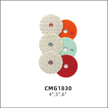 Diamond polishing wheel